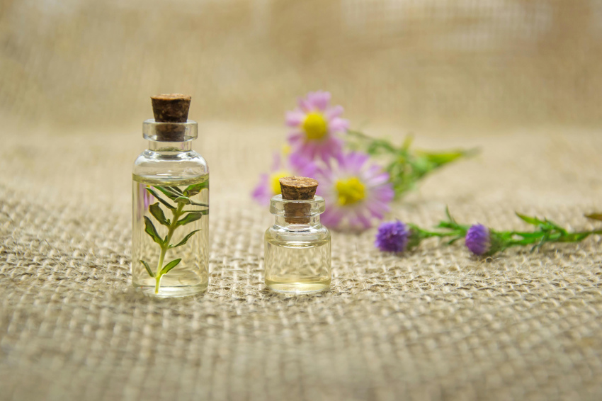 بررسی اثرات آنتی‌باکتریال اسانس‌های گیاهی در مقایسه با آنتی‌بیوتیک‌های رایج